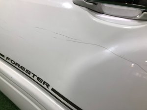 Дверь задняя левая SUBARU FORESTER OEM 61401FC013 SF9, SF5 1998 White 51E