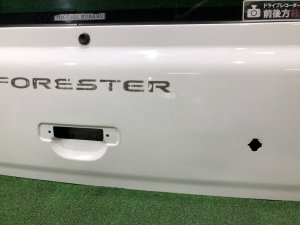 Дверь пятая SUBARU FORESTER OEM 61701FC000 SF9, SF5 1998 White 51E