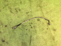Провод лямбда-зонда SUBARU LANCASTER OEM 24039AA310 BHE 2002 EZ30