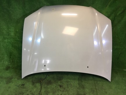 Капот SUBARU LANCASTER OEM 57229AE000 BH9 1998 Beige 8L5