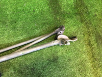Моторчик заднего дворника SUBARU LEGACY OEM 86510AE000 BH5 1998 EJ208