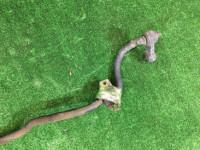 Стабилизатор передний D=21 SUBARU LANCASTER OEM 20401AE020 BHE BH9 2000 EZ30