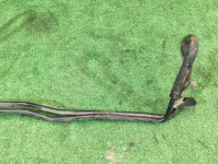 Tubos do radiador da caixa SUBARU LANCASTER OEM 45522AE020 BH9 BH5 BE5 BE9 1999 EJ254