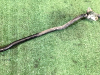 Front anti-roll bar 21мм SUBARU FORESTER OEM 20401SA000 SG5 SG9 2003 EJ202