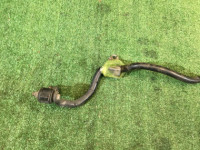 เหล็กกันโคลงหน้า 20мм SUBARU LANCASTER OEM 20401AE000 BH9 2000 EJ254