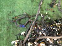 Ramal de cables SUBARU FORESTER OEM 81200FC000, 81500FC000 , 81400FC110 SF5 1998 EJ20G