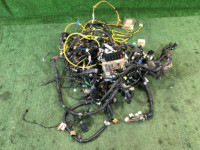 线束 81200AE740, 81401AE595, 81501AE680 SUBARU LEGACY