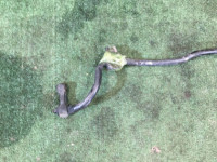 前防倾杆 20мм SUBARU LANCASTER OEM 20401AE000 BHE BH9 1999 EJ254 AT