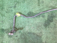 Barra estabilizadora trasera D=15.9 SUBARU OUTBACK OEM 20451AG060 BPE BP9 2005 EZ30 AT
