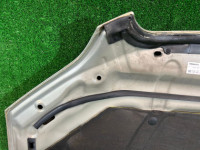 Капот SUBARU OUTBACK OEM 57229AG0209P BP9 2004 gold 3M4