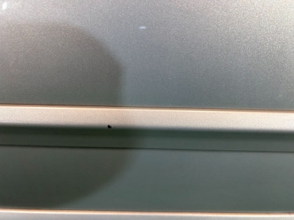 Puerta delantera izquierda цвет 39J SUBARU OUTBACK OEM 60009AG0509P BPE 2004 GOLD 39J