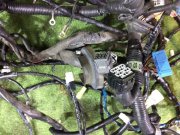 Коса SUBARU LEGACY B4 OEM 81200AE170, 81400AE400, 81401AE160, 81500AE190, 81500AE630 BE9 2001 EJ254