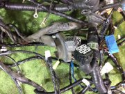 Коса SUBARU LEGACY B4 OEM 81200AE170, 81400AE400, 81401AE160, 81500AE190, 81500AE630 BE9 2001 EJ254