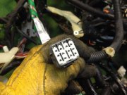 Коса SUBARU LEGACY B4 OEM 81200AE730, 81401AE950, 81501AE491 BEE 2002 EZ30