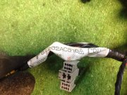 Коса SUBARU LEGACY OEM 81202AC510, 81403AC750, 81502AC750 BG9 1997 EJ25D