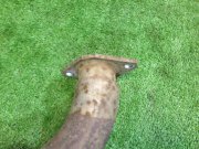 Средняя часть глушителя SUBARU LEGACY OEM 44200AE021 BH5 1999 EJ208