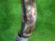 Coletor de escape SUBARU LEGACY OEM 44102AC220, 44102AC100 BH5 1999 EJ208