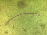 右轮拱护板 SUBARU LANCASTER OEM 91022AE000, 91016SA000 BH9 1998 green 8K4