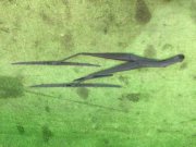ワイパーブレード SUBARU LANCASTER OEM 86532AE000, 86532AE010 BH9 1998