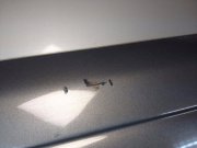 Дверь передняя левая SUBARU LANCASTER OEM 60009AE050, 60009AE070 BH9 2000 silver 9F9, 9G9
