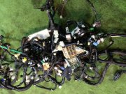 Wiring harness SUBARU LANCASTER OEM 81200AE500, 81401AE460, 81500AE970 BHE 2000 EZ30