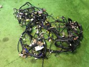 Wiring harness SUBARU OUTBACK OEM 81400AJ560, 81200AJ500, 81501AJ120,  81300AJ250 BRF 2009 EZ36